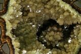 Calcite Crystal Filled Septarian Geode Egg - Utah #160272-1